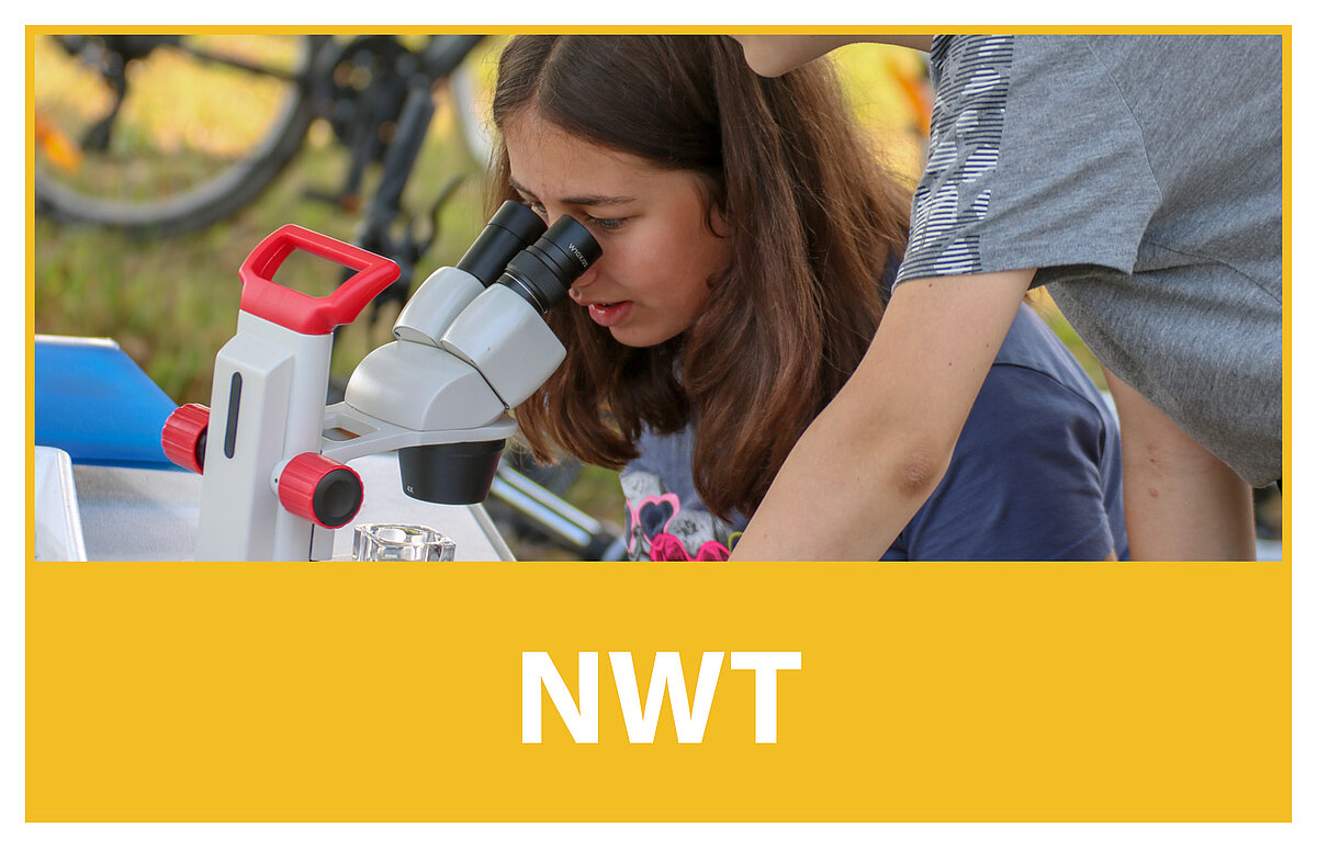Navigation zu "NWT: Naturwissenschaft und Technik"